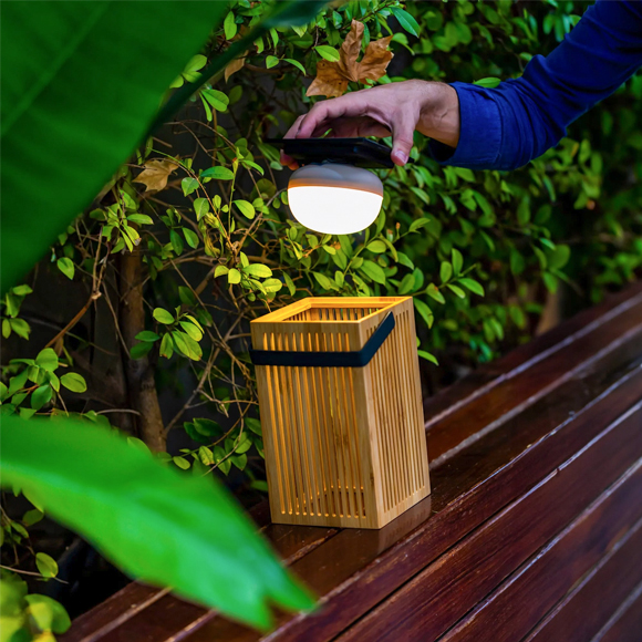 Okinawa Lantern – Image 4