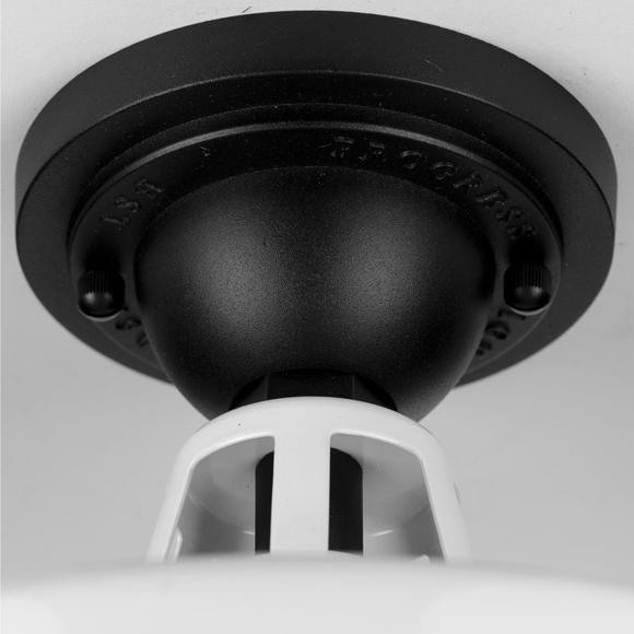 Cedar Spring – Image 4