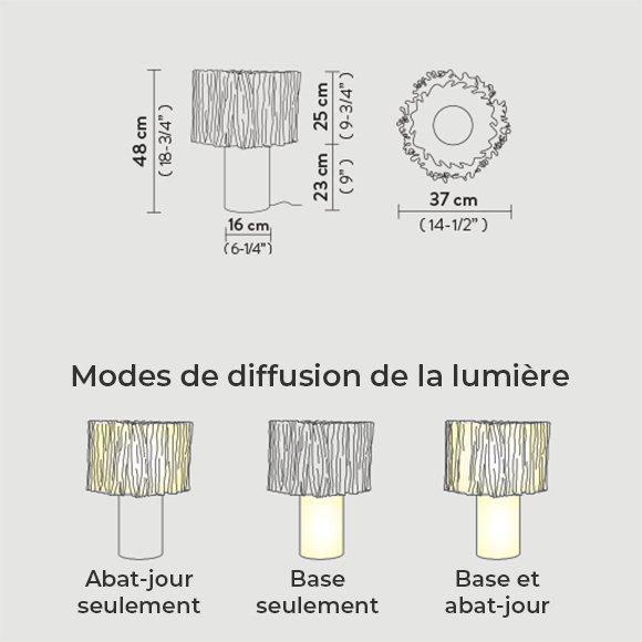 Accordeon | Slamp – Image 4